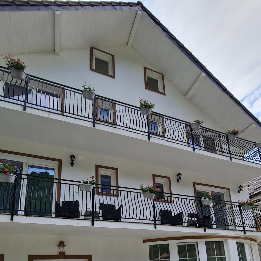 Hotel Casa Anne Băile Herculane Exterior foto